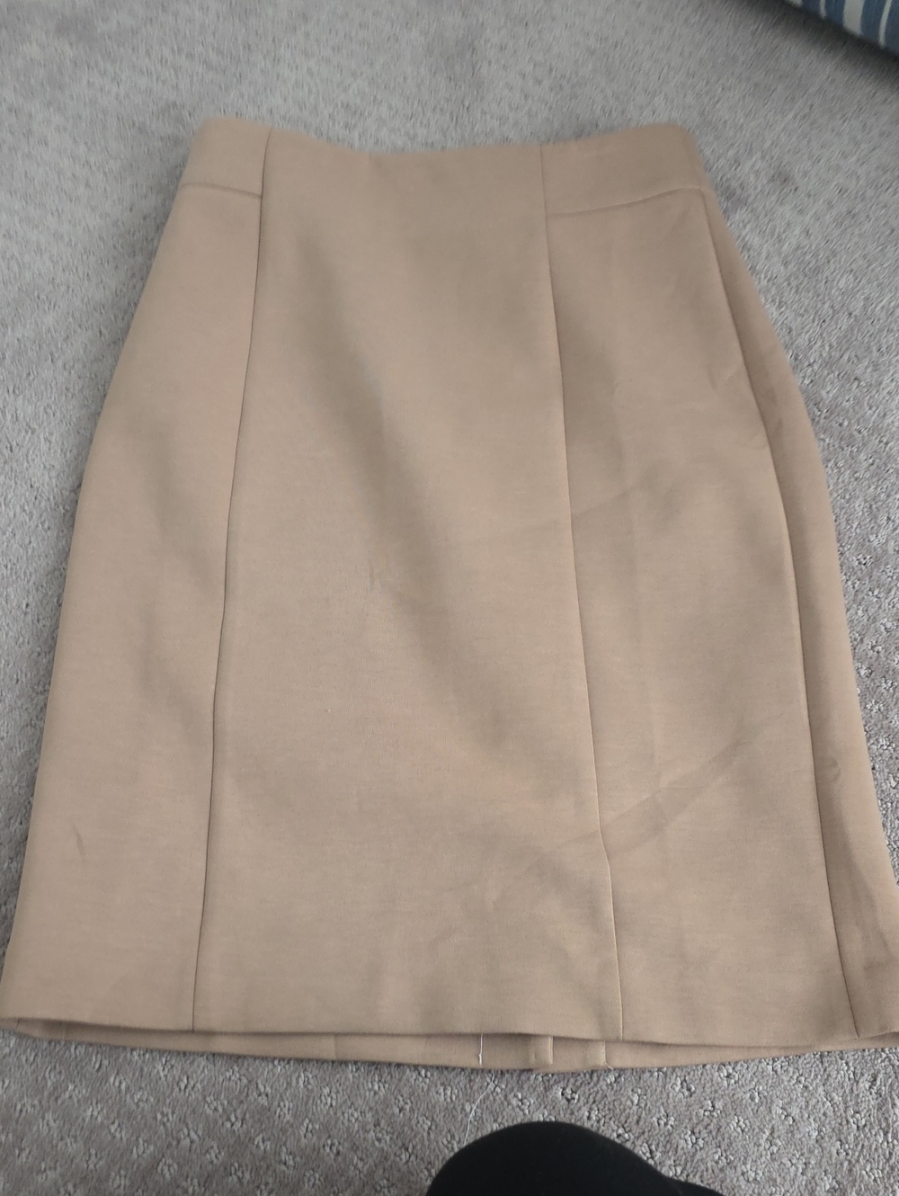 Ann Taylor Light Beige Pencil Skirt